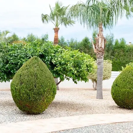 Amazing With Panoramic Sea View بافوس