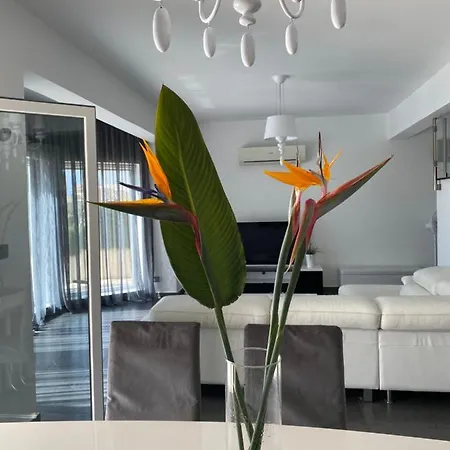 Amazing With Panoramic Sea View