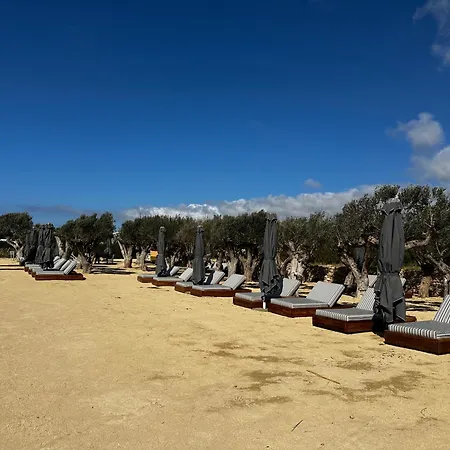 Amazing With Panoramic Sea View Villa