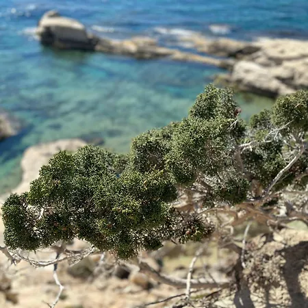 Amazing With Panoramic Sea View * Paphos